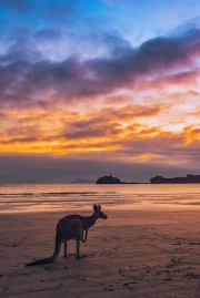 Sunset Charm of the Australian Coast
