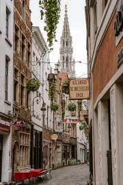 Old Street of Belgium: The Path to the Majestic Tower