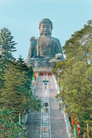 Majestic Buddha Among the Greenery of China
