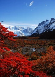 Autumn Charm of the Chilean Andes: The Majesty of Nature