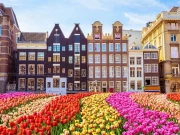 Tulips and Architecture: The Charm of Denmark