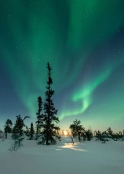 Northern Lights of Finland: Dance of Lights over Snowy Expanses