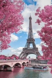 Romance of France: Eiffel Tower in Blooming Rose Garden