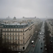 Foggy Paris: The Charm of France