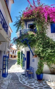 The Charm of a Greek Idyll: Blue and White Houses and Flowers