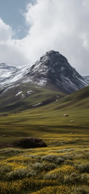 Iceland's Mountain Top: Green Spaces and Natural Charm
