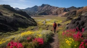 Secret Trails of Iceland: Endless Meadows and Flowers