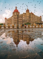 Magic of India: The Grandeur of Architecture and the Flight of Birds