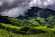 Misty Hills of India: Nature's Green Heart