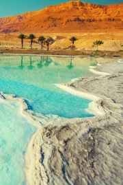 Turquoise Lake and the Desert of Israel: Picturesque Landscape