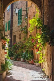 The Charm of Italy's Stone Streets: Flowers and Sun