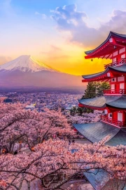 Sunset over Fujiyama: Sakura and Temple of Japan