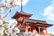 Cherry Blossoms and Pagoda: The Magic of Japan for Your Home