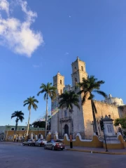 Mexican Harmony: Architecture and Palms