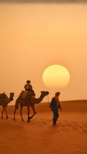 Caravan at Sunset: Moroccan Desert