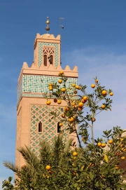 Orange Trees and Architecture of Morocco: Country Style