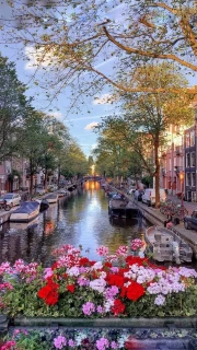 Harmony of Canals: Nature and Architecture of the Netherlands