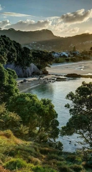 New Zealand Idyll: Natural Tranquility