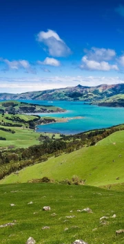 Emerald Hills and Turquoise Waters of New Zealand: A Symphony of Nature
