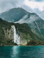 New Zealand Waterfall: Mountain Wildlife