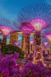 Glowing Singapore: City of Dreams and Reality