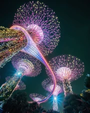 Singapore Gardens Glow: Futuristic Nature