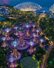 Singapore Light Garden: Magical Lights in Country Style