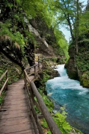 Slovenia's Winding Trail: Natural Charm of Green Landscapes