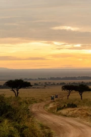 Savannah Sunset: The Enchantment of South Africa