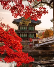 Autumn Tale of South Korea: Traditions and Nature