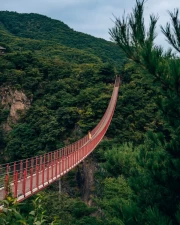 South Korea's Red Bridge: Lightness and Greenery