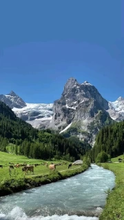 Swedish Idyll: Mountains, Stream and Meadows