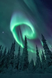 Northern Lights in Swedish Village: The Magic of Scandinavia