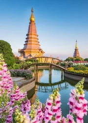 Temple of Thailand among Flowering Gardens and Bridges