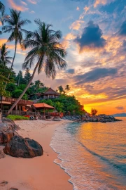 Thai Village by the Ocean: Sunset and Palms
