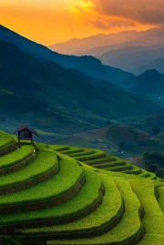 Sunset over Vietnam's Rice Terraces: The Charm of the Country