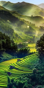 Rice Terraces and Mountains of Vietnam: Harmony of Nature
