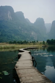Wooden path in the heart of Vietnam's nature