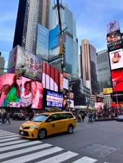 Pulse of New York: The Vibrant Heart of the Metropolis, USA, New York