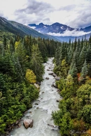 Alaska's Wild River: US Wildlife