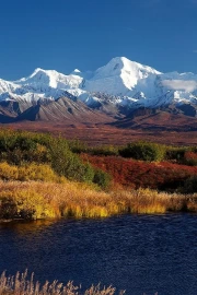 Alaskan Grandeur: Autumn Mountains and Wildlife of the USA