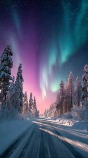 Northern Lights Over Alaska's Winter Forest: The Mysterious Beauty of Nature in the USA