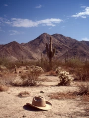 Cowboy Ode: The Desert Expanse of Arizona, USA