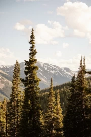 The Majesty of the Colorado Mountains: Natural Landscape of the USA