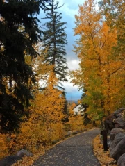 Autumn Path in Golden Colorado: Comfort and Warmth of the USA
