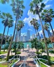 Florida's Sunny Palms and Skyscrapers: A U.S. Paradise