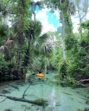 Turquoise Waters of Florida: Adventure in the Jungle USA