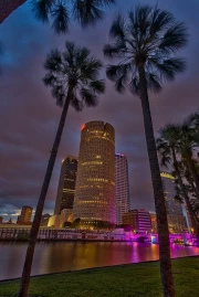 Tropical Night Florida: Skyscrapers and Palm Trees in Lights