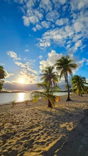 Florida: Sunny Beach and Palm Trees Under the Endless Sky