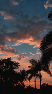 Tropical Sunset: Calm and Warmth of Florida, USA
